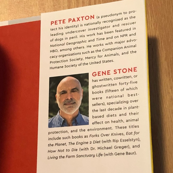 ❤️RESCUE DOGS❤️ - Picture 4 of 6